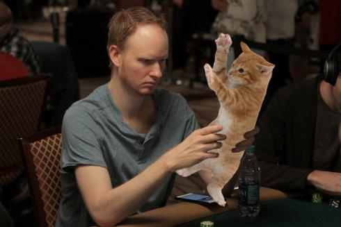 Тюнер покер кот